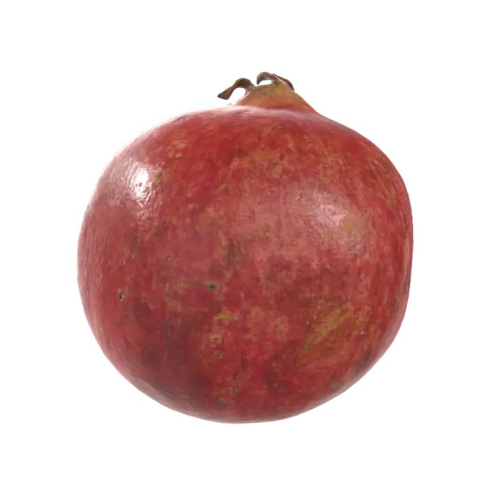 Pomegranate 3D Model Fruit AR Model Food Science Popularization 3D model preview on Freecreat