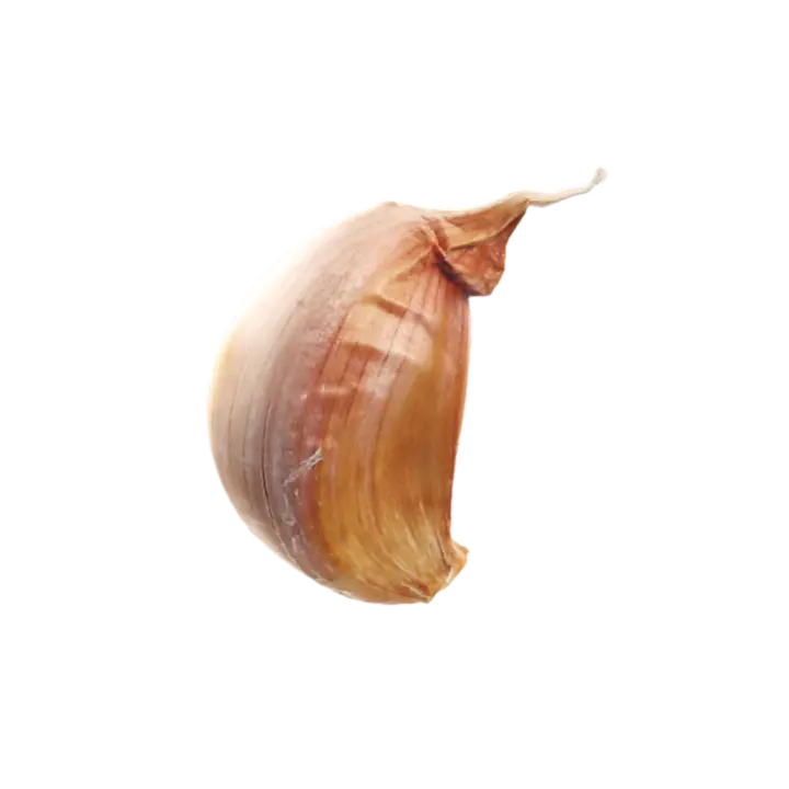 Garlic 3D Model AR Garlic 3D model preview on Freecreat