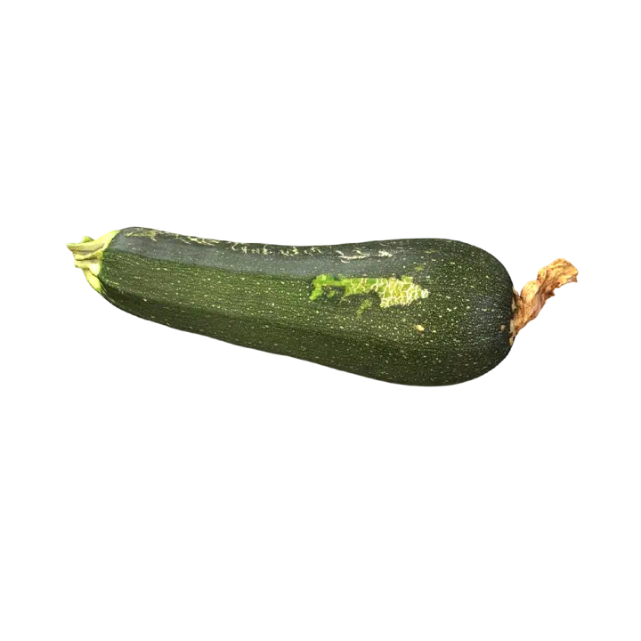 Zucchini 3D model preview on Freecreat