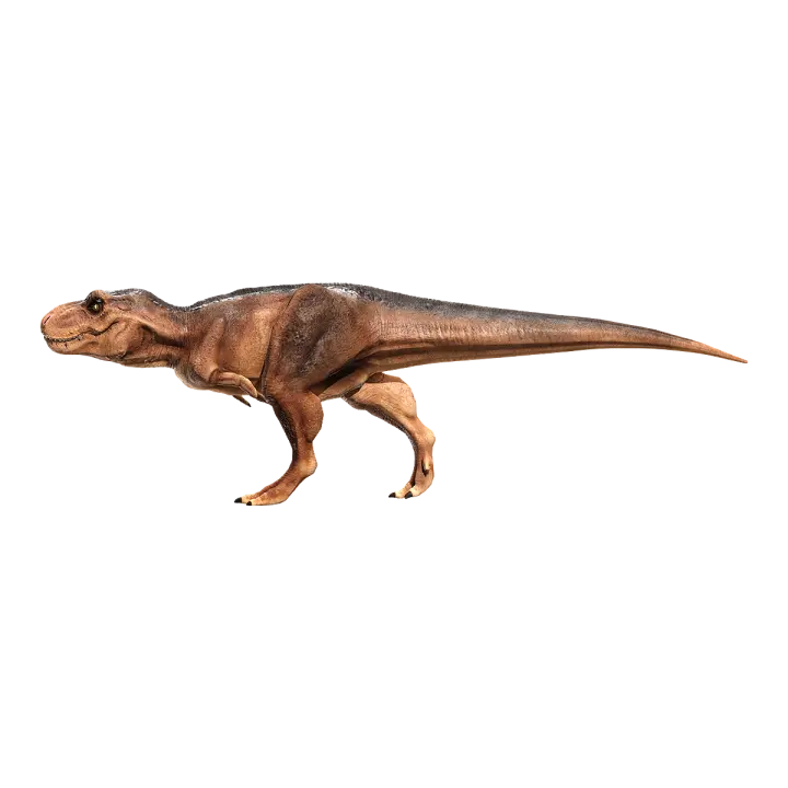 Tyrannosaurus Rex 3D model preview on Freecreat