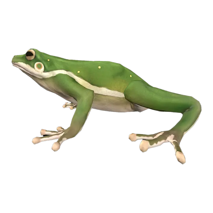 frog 3D model preview on Freecreat