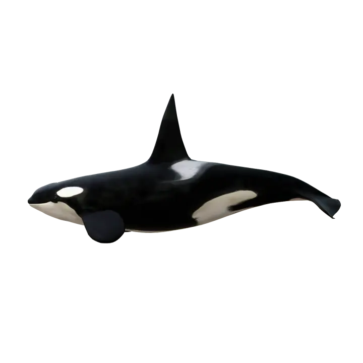 Killer whale 3D model preview on Freecreat