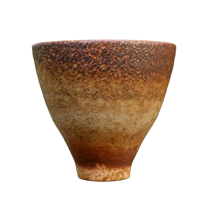 Cosmic Starry Sky Ceramic Cup 3D model preview on Freecreat