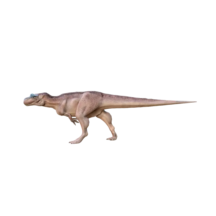 Yitelong 3D Animation Model 3D model preview on Freecreat