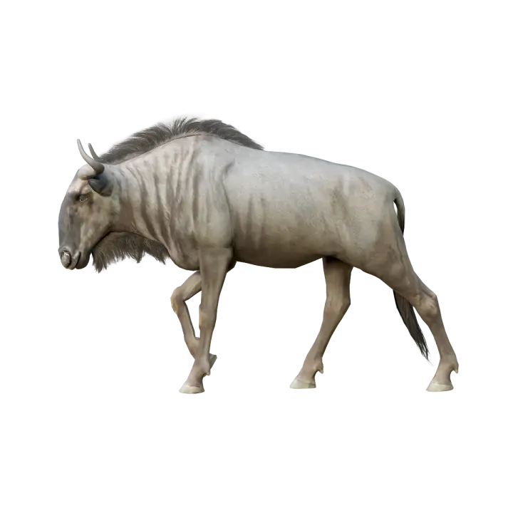 Blue horned horse (male) 3D model animation 3D model preview on Freecreat
