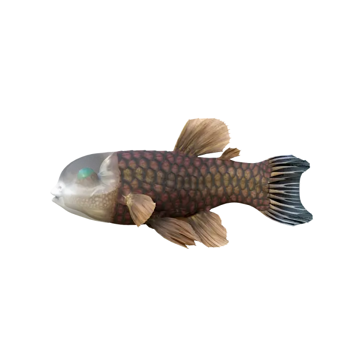 3D model animation of Guanyan fish glb 3D model preview on Freecreat