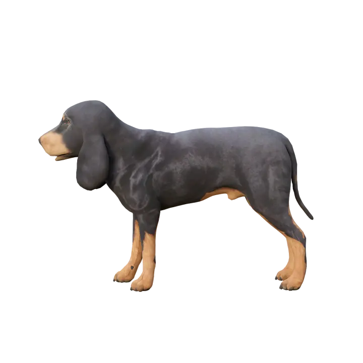 Black brown spot hunting raccoon dog 3D model with animation 3D model preview on Freecreat