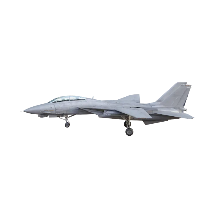 American F-14 Tomcat fighter 3D model preview on Freecreat