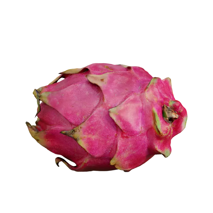 dragon fruit 3D model preview on Freecreat