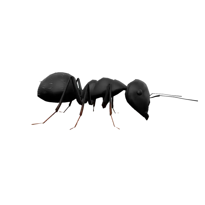 worker-priest 3D model preview on Freecreat