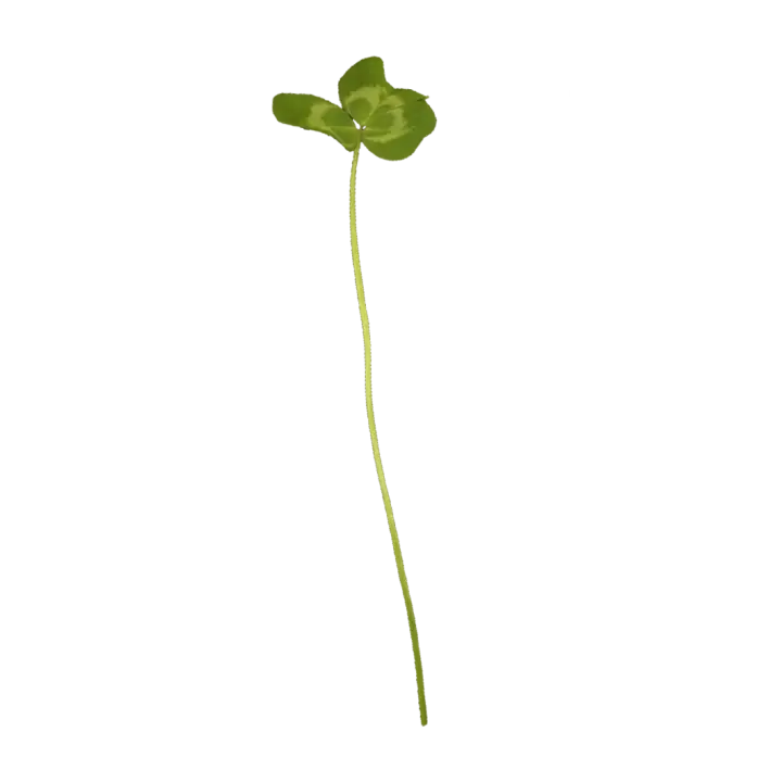 White clover 3D model preview on Freecreat