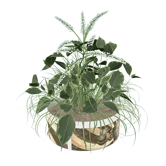 And self potted plants 3D model preview on Freecreat
