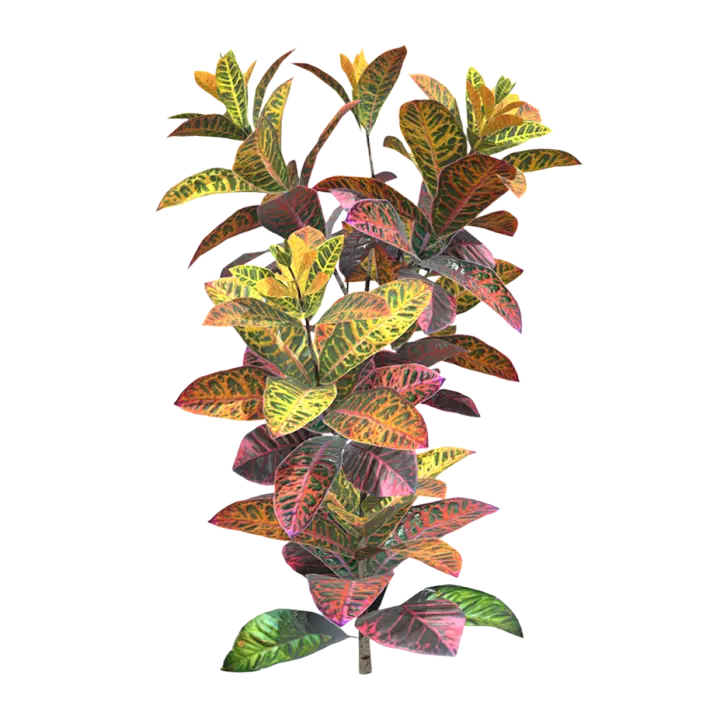Light purple hairy croton 3D model preview on Freecreat