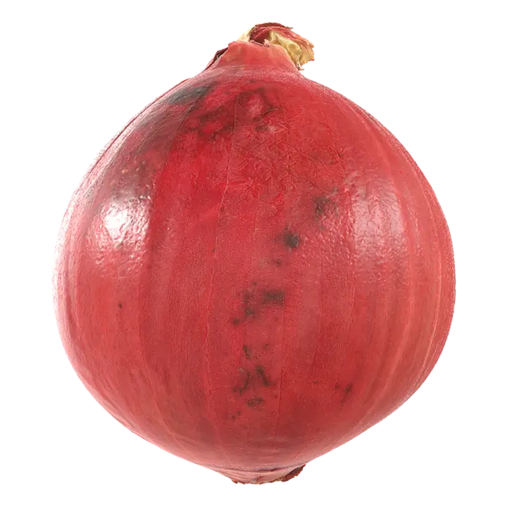 Red Onion 3D Model 3D model preview on Freecreat
