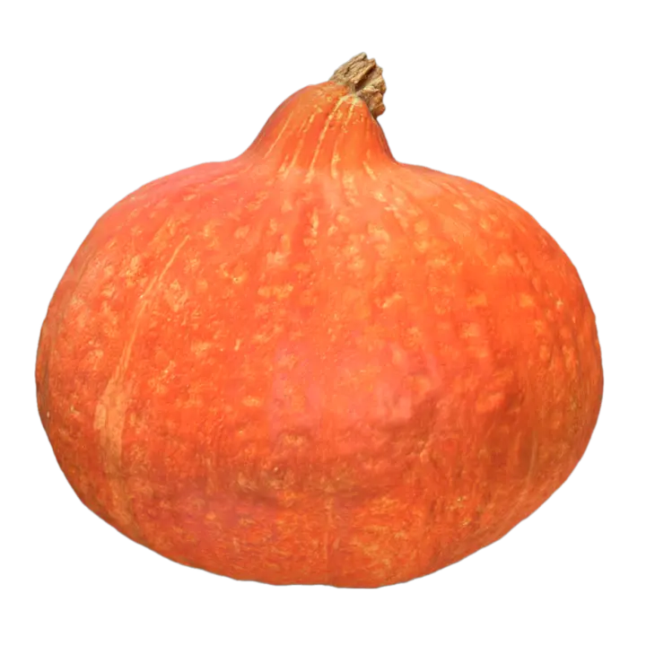 Hokkaido Pumpkin 3D Model 3D model preview on Freecreat