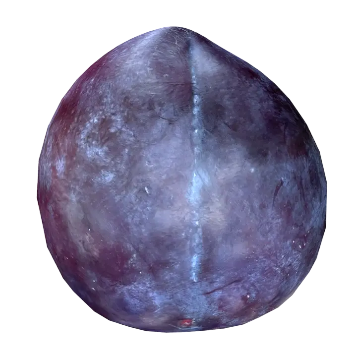 Black Plum 3D Model 3D model preview on Freecreat