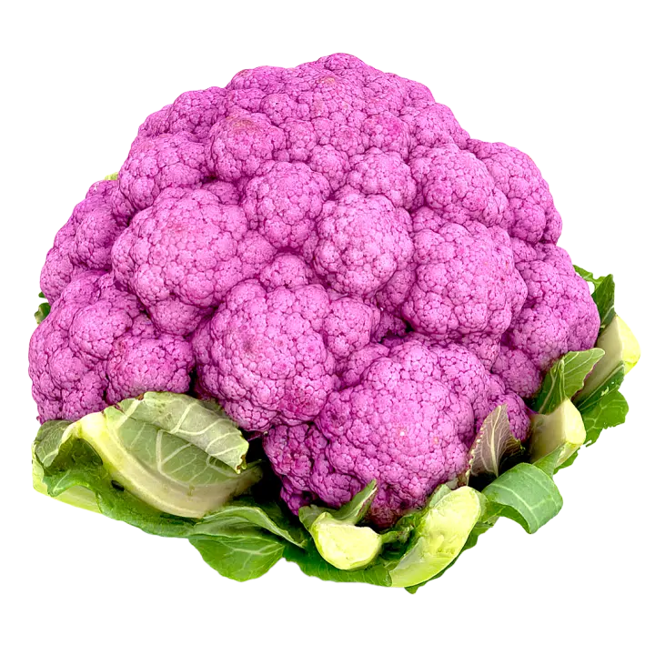 Purple cauliflower 3D model 3D model preview on Freecreat