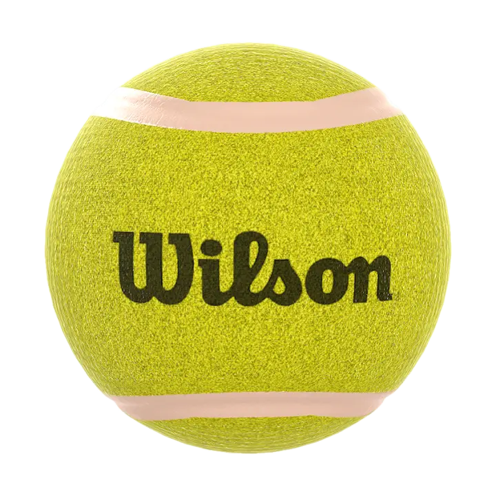 Weiang Tennis 3D Model 3D model preview on Freecreat