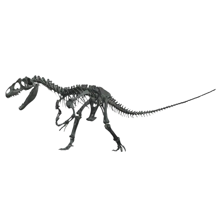 Allosaurus skeleton 3D model preview on Freecreat
