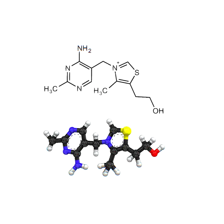 Chemical formula of vitamin B1 (molecular structure 3D schematic diagram) 3D model preview on Freecreat