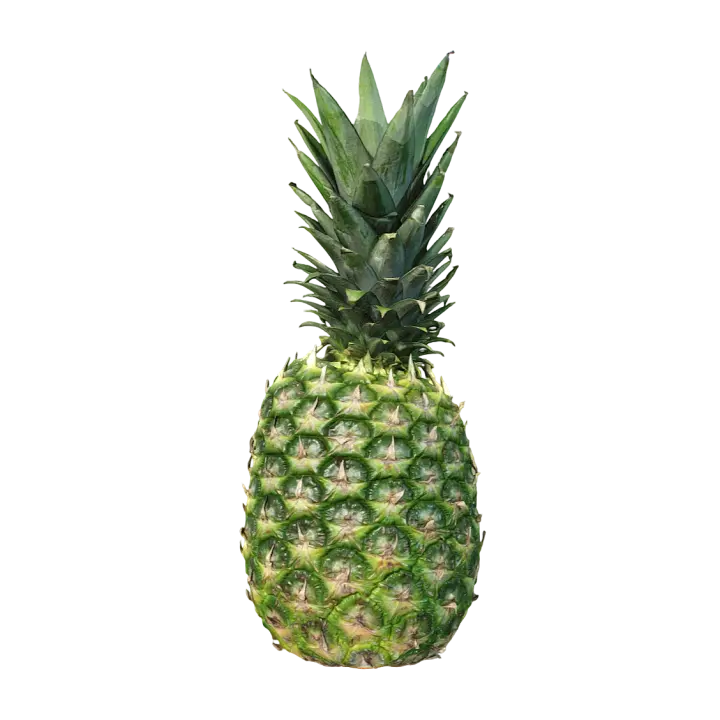 Pineapple 3D model preview on Freecreat