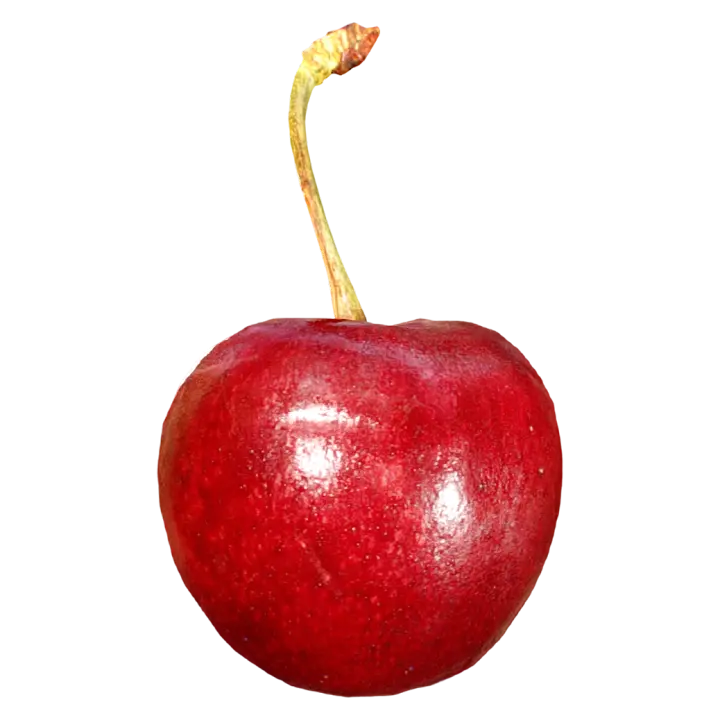 Cherry 3D model preview on Freecreat