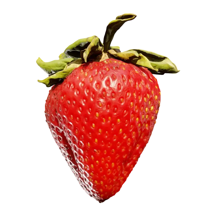 Strawberry 3D model preview on Freecreat