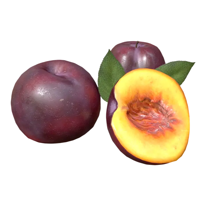 Black plum 3D model preview on Freecreat