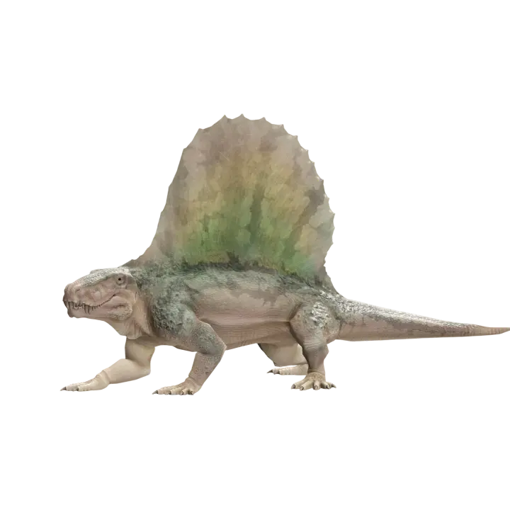 Heterodon (3D animated model) 3D model preview on Freecreat