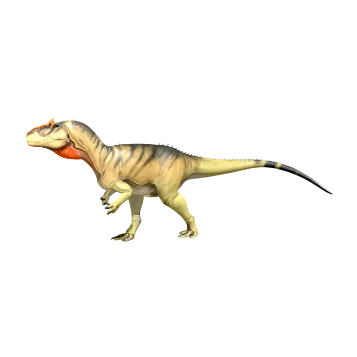 Fragile allosaurus (3D animated model) 3D model preview on Freecreat