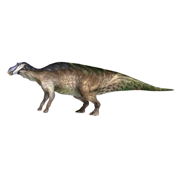 Mother Dragon (3D animated model) 3D model preview on Freecreat