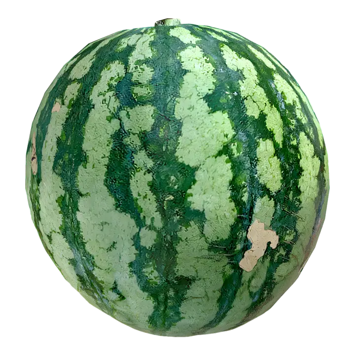 Watermelon 3D model preview on Freecreat