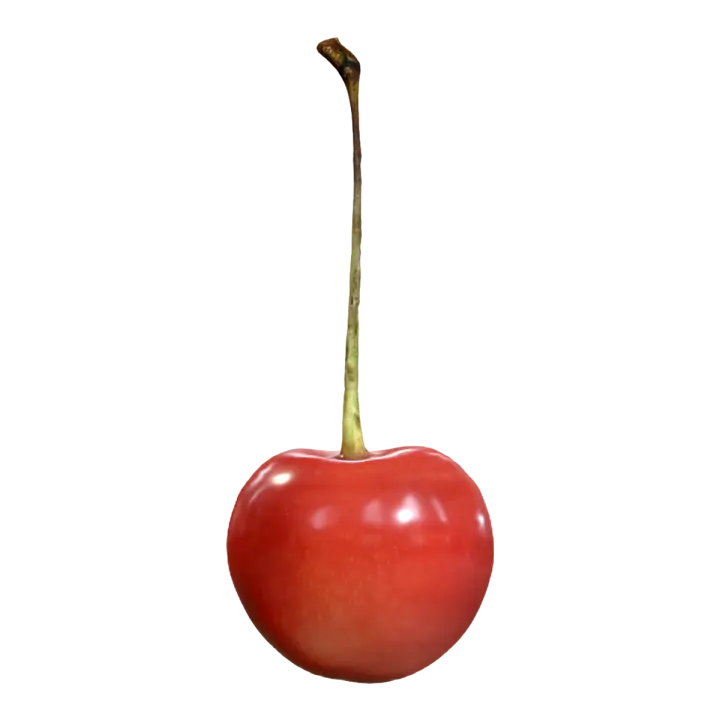 Cherry 3D model preview on Freecreat