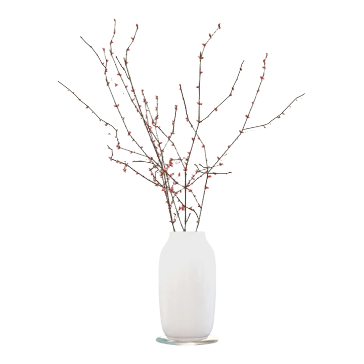 American Modern Light Luxury White Ceramic Vase Vase Pad Simulation Dead Branch Spring Rain Leaf-Vase 3D model preview on Freecreat